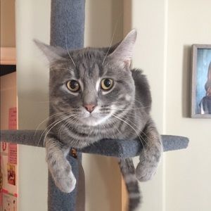 Meet your Posher, Anna